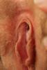 *** GEILE FICKMUSCHI **** *** GEILE FICKMUSCHI ****
